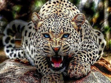Laden Sie das Bild in den Galerie-Viewer, Malen nach Zahlen für Erwachsene | Bedrohlicher Leopard | Figured'Art