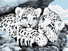 Laden Sie das Bild in den Galerie-Viewer, Malen nach Zahlen für Erwachsene | Weiße Leoparden | Figured'Art
