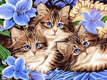 Laden Sie das Bild in den Galerie-Viewer, Malen nach Zahlen für Erwachsene | Die Katzenfamilie | Figured'Art