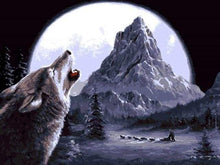 Laden Sie das Bild in den Galerie-Viewer, Malen nach Zahlen für Erwachsene | Wolf in den Himmel heulend | Figured'Art