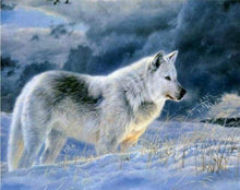 Laden Sie das Bild in den Galerie-Viewer, Malen nach Zahlen für Erwachsene | Einsamer Wolf im Schnee | Figured'Art