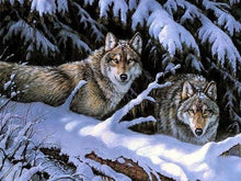 Laden Sie das Bild in den Galerie-Viewer, Malen nach Zahlen für Erwachsene | Wölfe im Winter | Figured'Art