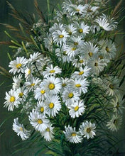 Laden Sie das Bild in den Galerie-Viewer, Malen nach Zahlen für Erwachsene | Weiße Gänseblümchen | Figured'Art