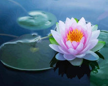 Laden Sie das Bild in den Galerie-Viewer, Malen nach Zahlen für Erwachsene | Glühende Seerose | Figured'Art