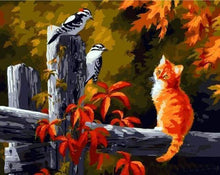 Laden Sie das Bild in den Galerie-Viewer, Malen nach Zahlen für Erwachsene | Vögel und aufmerksames Kätzchen | Figured'Art