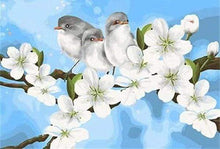 Laden Sie das Bild in den Galerie-Viewer, Malen nach Zahlen für Erwachsene | Vögel und Magnoliablumen | Figured'Art