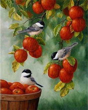 Laden Sie das Bild in den Galerie-Viewer, Malen nach Zahlen für Erwachsene | Vögel und rote Äpfel | Figured'Art