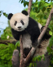 Laden Sie das Bild in den Galerie-Viewer, Malen nach Zahlen für Erwachsene | Sitzender Panda | Figured'Art
