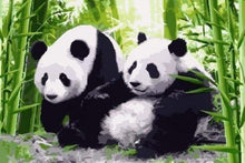 Laden Sie das Bild in den Galerie-Viewer, Malen nach Zahlen für Erwachsene | Pandas in Japan | Figured'Art