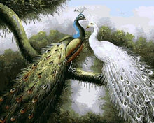 Laden Sie das Bild in den Galerie-Viewer, Malen nach Zahlen für Erwachsene | Pfauen in der Liebe | Figured'Art