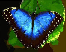 Laden Sie das Bild in den Galerie-Viewer, Malen nach Zahlen für Erwachsene | Blauer Schmetterling | Figured'Art