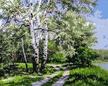 Laden Sie das Bild in den Galerie-Viewer, Malen nach Zahlen für Erwachsene | Landschaft mit Pappeln | Figured'Art