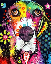 Laden Sie das Bild in den Galerie-Viewer, Malen nach Zahlen für Erwachsene | Kleiner trauriger Hund | Figured'Art