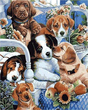 Laden Sie das Bild in den Galerie-Viewer, Malen nach Zahlen für Erwachsene | Kleine ruhige Hunde | Figured'Art