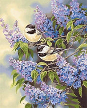 Laden Sie das Bild in den Galerie-Viewer, Malen nach Zahlen für Erwachsene | Kleine Vögel auf einem Zweig | Figured'Art