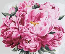 Laden Sie das Bild in den Galerie-Viewer, Malen nach Zahlen Erwachsene Pfingstrosen Figured'Art