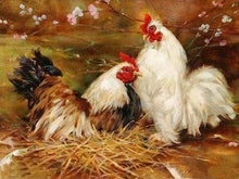 Laden Sie das Bild in den Galerie-Viewer, Malen nach Zahlen für Erwachsene | Henne und Hahn | Figured'Art