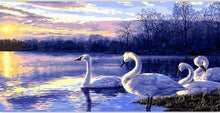 Laden Sie das Bild in den Galerie-Viewer, Malen nach Zahlen für Erwachsene | Vier Schwäne auf einem See | Figured'Art