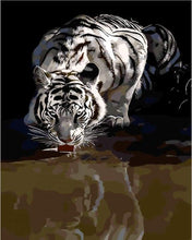 Laden Sie das Bild in den Galerie-Viewer, Malen nach Zahlen für Erwachsene | Reflexion Tiger | Figured'Art