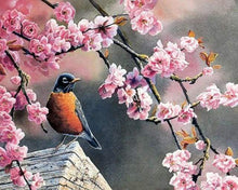 Laden Sie das Bild in den Galerie-Viewer, Malen nach Zahlen für Erwachsene | Rotkehlchen im Frühling | Figured'Art