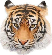 Laden Sie das Bild in den Galerie-Viewer, Malen nach Zahlen Erwachsene Tigerkopf Figured'Art