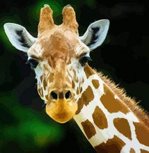 Laden Sie das Bild in den Galerie-Viewer, Malen nach Zahlen für Erwachsene | Kopf und Hals der Giraffe | Figured'Art