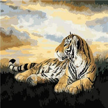 Laden Sie das Bild in den Galerie-Viewer, Malen nach Zahlen für Erwachsene | Liegender Tiger | Figured'Art