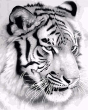 Laden Sie das Bild in den Galerie-Viewer, Malen nach Zahlen für Erwachsene | Sibirischer Tiger | Figured'Art