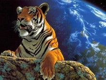 Laden Sie das Bild in den Galerie-Viewer, Malen nach Zahlen für Erwachsene | Tiger und Erde | Figured'Art