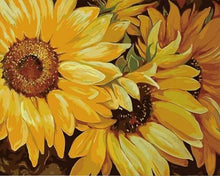 Laden Sie das Bild in den Galerie-Viewer, Malen nach Zahlen für Erwachsene | Sonnenblumen in voller Blüte | Figured'Art