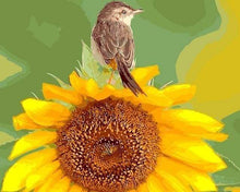 Laden Sie das Bild in den Galerie-Viewer, Malen nach Zahlen für Erwachsene | Sonnenblume und Vogel | Figured'Art