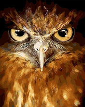 Laden Sie das Bild in den Galerie-Viewer, Malen nach Zahlen für Erwachsene | Stechende Augen Adler | Figured'Art